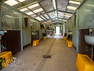 AK310322-108 - Alan King Stable Visit